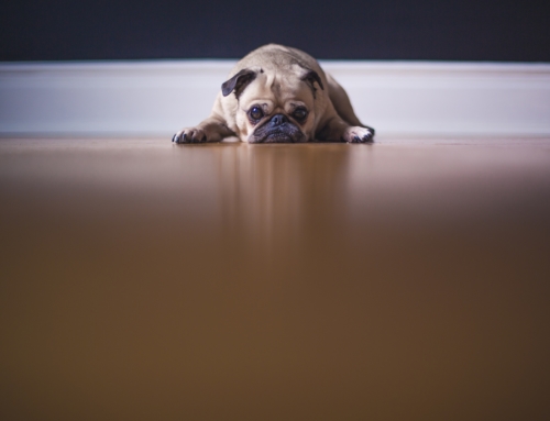 What to Tell Yourself When Your Launch Feels Like a Total Failure